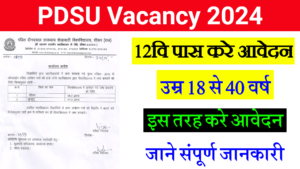 PDSU Vacancy 2024